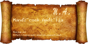 Manácsek Amália névjegykártya